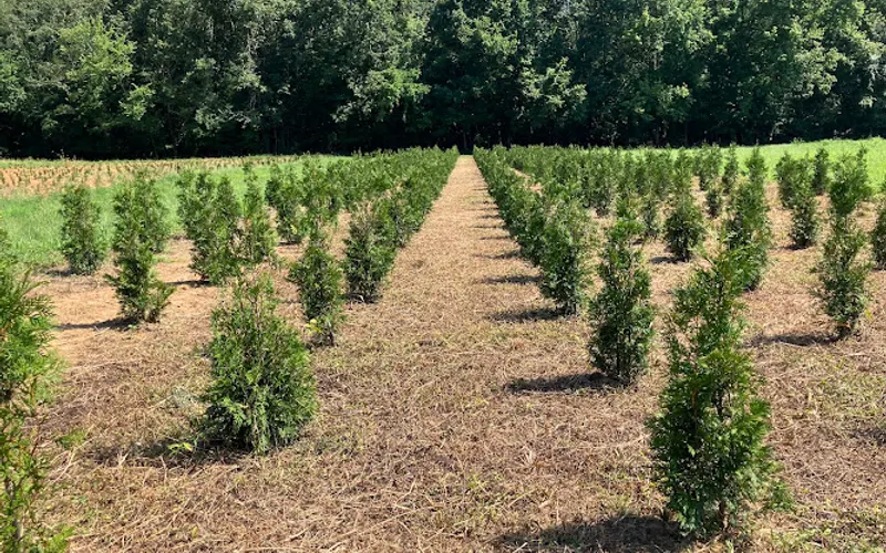 Legacy Nursery — Plant nursery