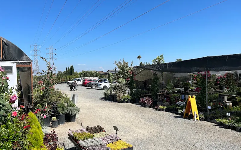 Sakioka Wholesale Nursery — Plant nursery
