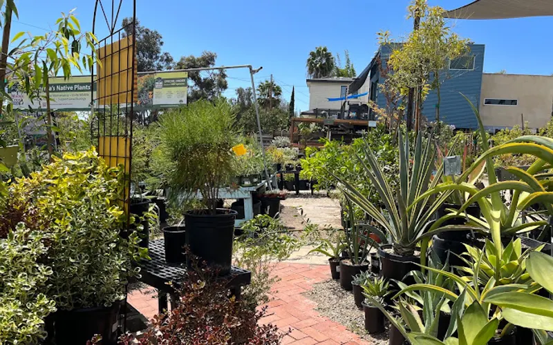 Mission Hills Nursery — Plant nursery