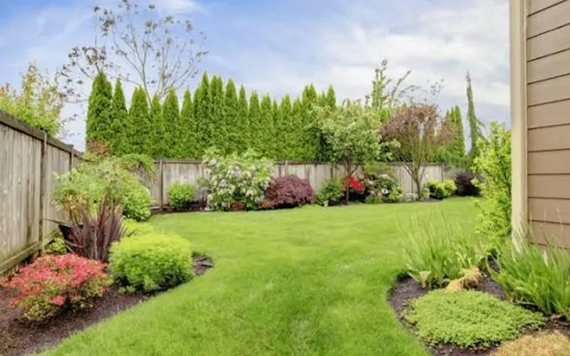 Mc hauling & lawncare and more — Lawn care service