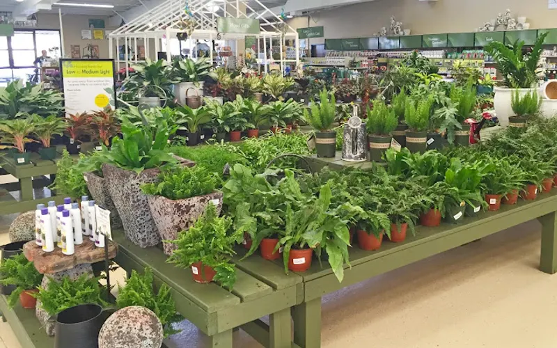 Pike Nurseries — Landscaper