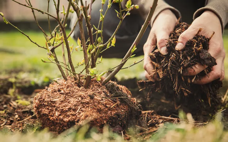 Johncock Forestry Products — Mulch supplier