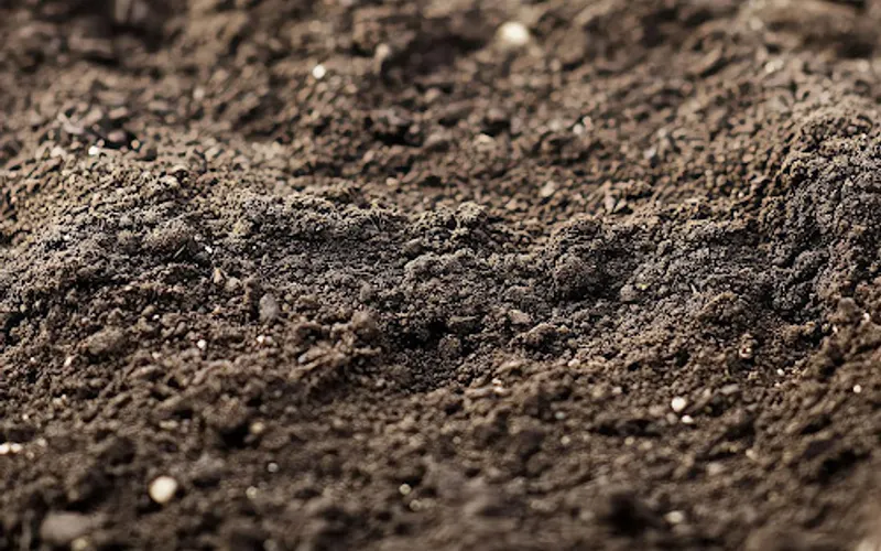 Nursery Supply Co LLC — Topsoil supplier