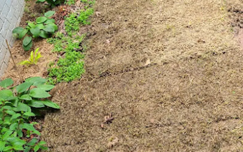 Enterprise Sod & Rock Store — Store