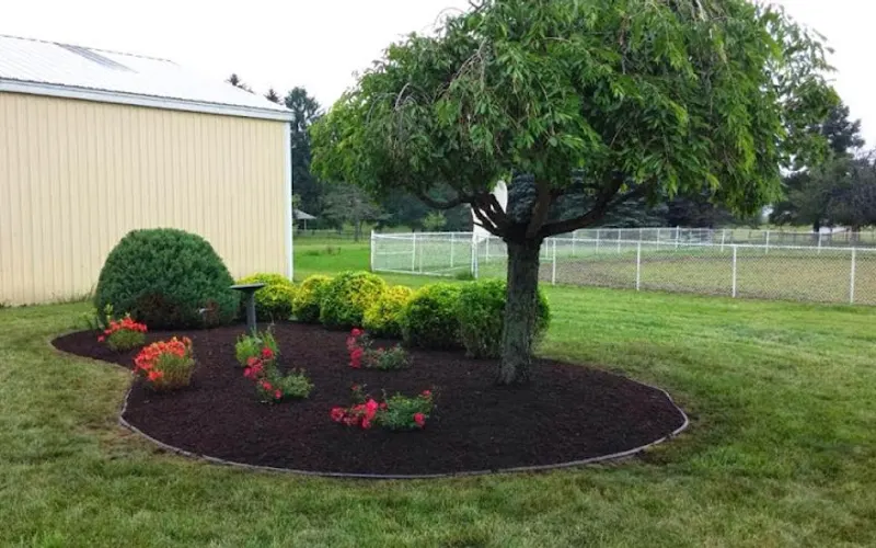 Bubba's Landscape , Inc. — Landscaper