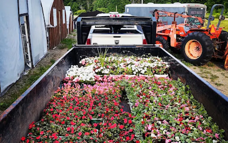Midway Garden Center & Misty Ridge Landscaping — Garden center