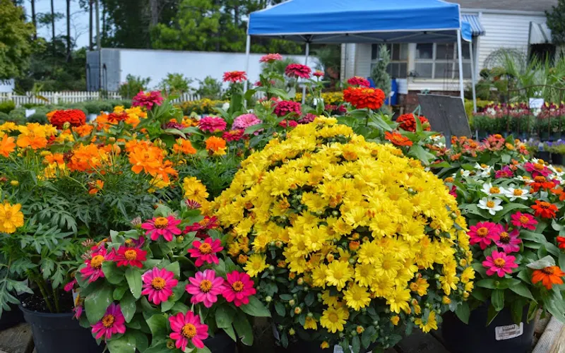 Hanna's Garden Shop — Garden center