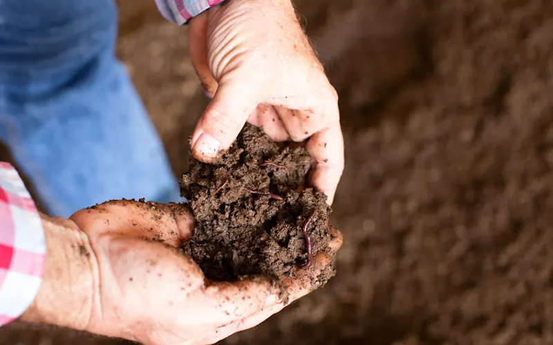 Soil Seed and Water Office — Topsoil supplier