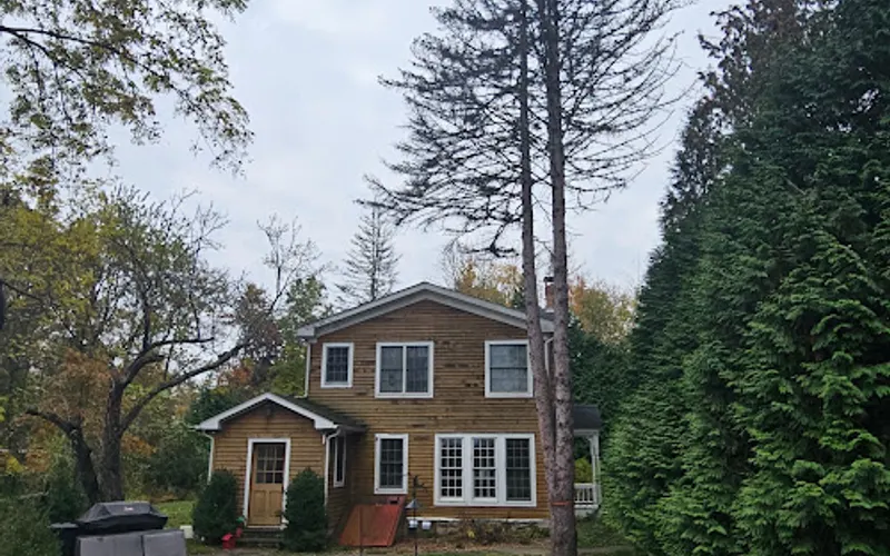 Mountain Tree Care — Tree service