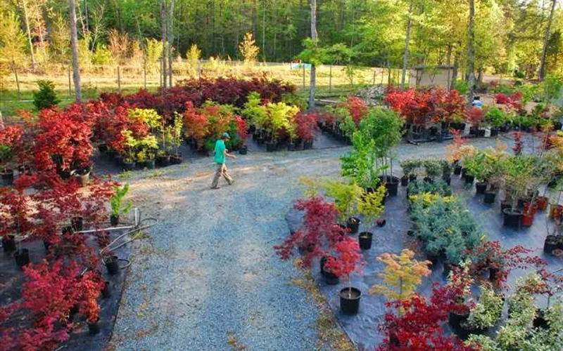 Get Rooted Plant Nursery and Garden Center — Plant nursery