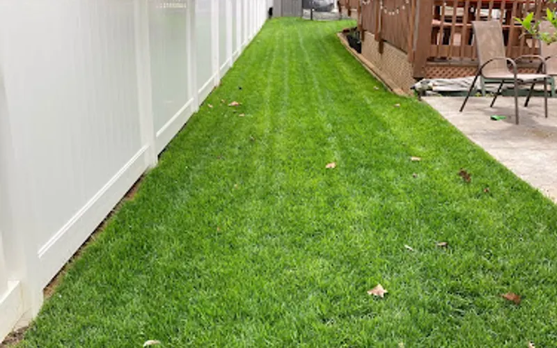 Reid Sod Farm — Sod supplier