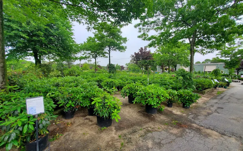 Mahoney's Garden Center — Garden center