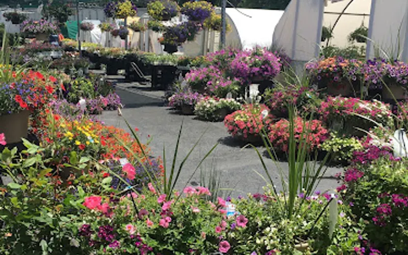 Scalici Farm & Greenhouses — Landscaping supply store