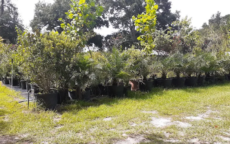 Laly Acres Nursery — Plant nursery