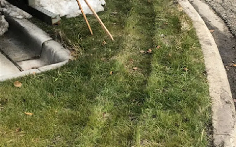 Allen's Lawn Care Landscape & Garden Center — Lawn care service