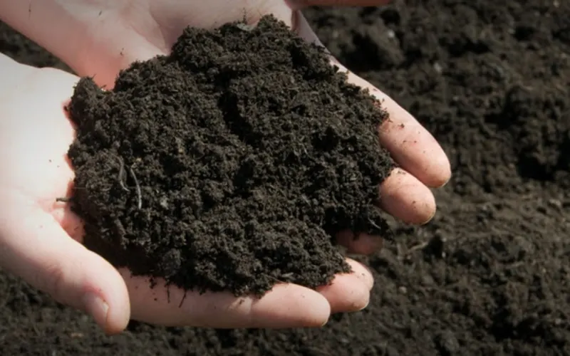 A&B Mulch — Mulch supplier