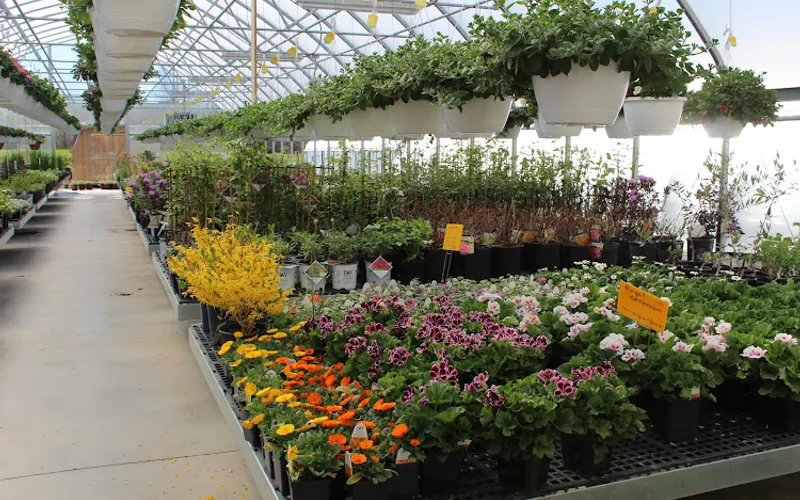 Sunrise Greenhouse — attractions