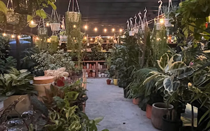 Outside Space Garden Center — Garden center