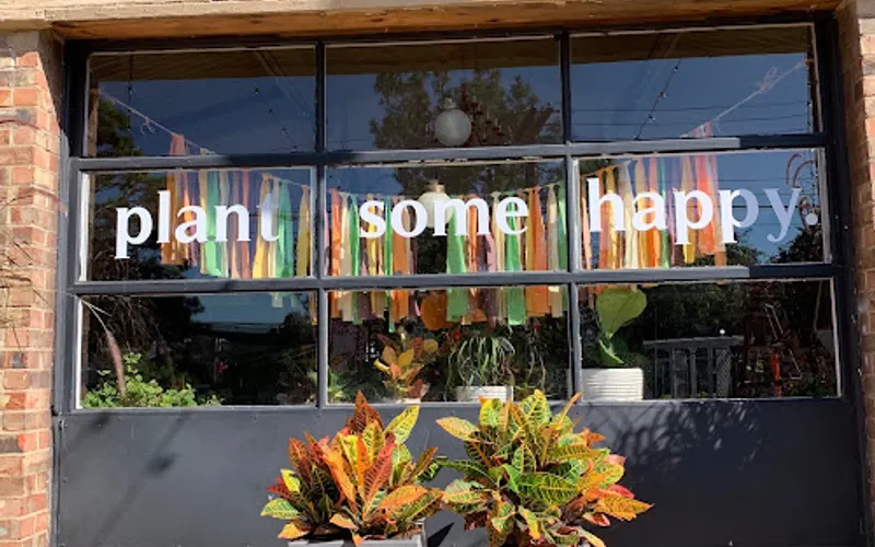 Oopsy Daisy — Garden center