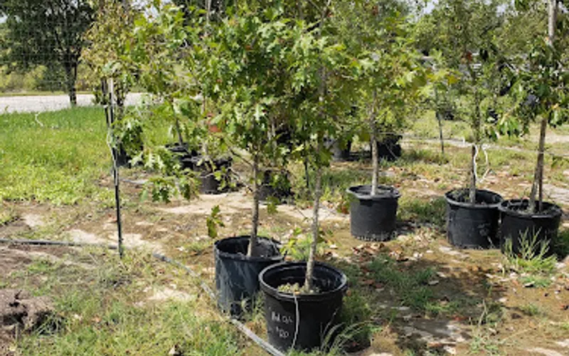 Garden-Ville Creedmoor — Landscaper