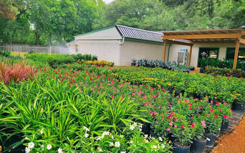 Katy Garden Center — Garden center