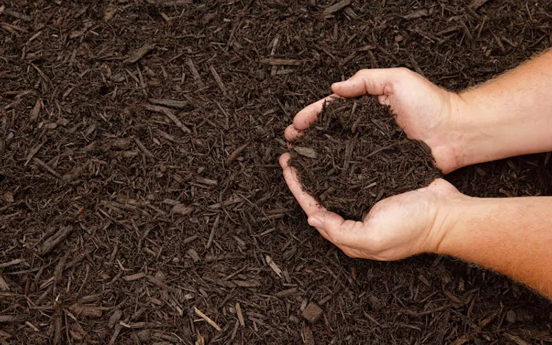 Mr Mulch — Mulch supplier
