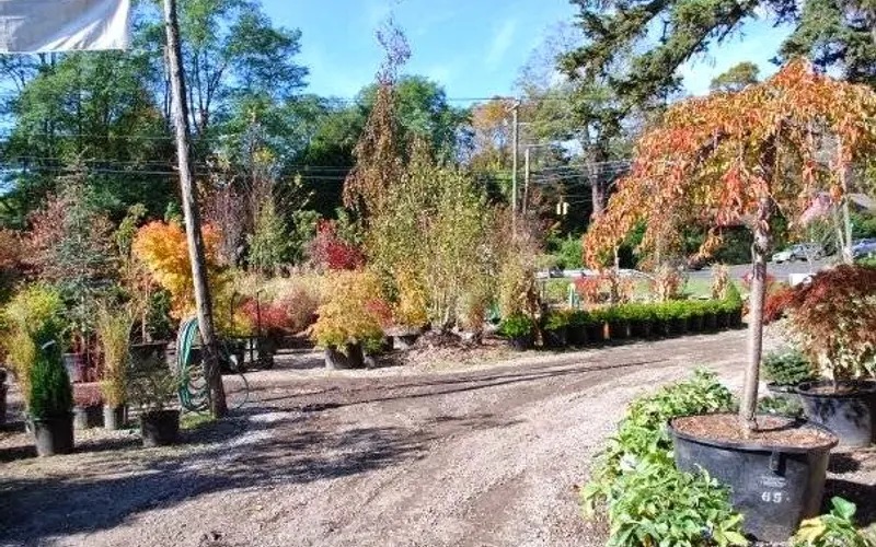 Weston Gardens Inc — Mulch supplier