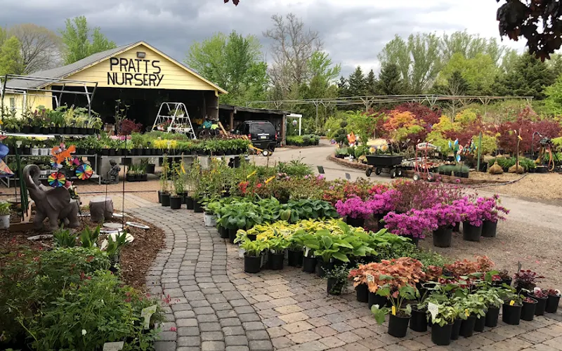 Pratts Nursery — Plant nursery