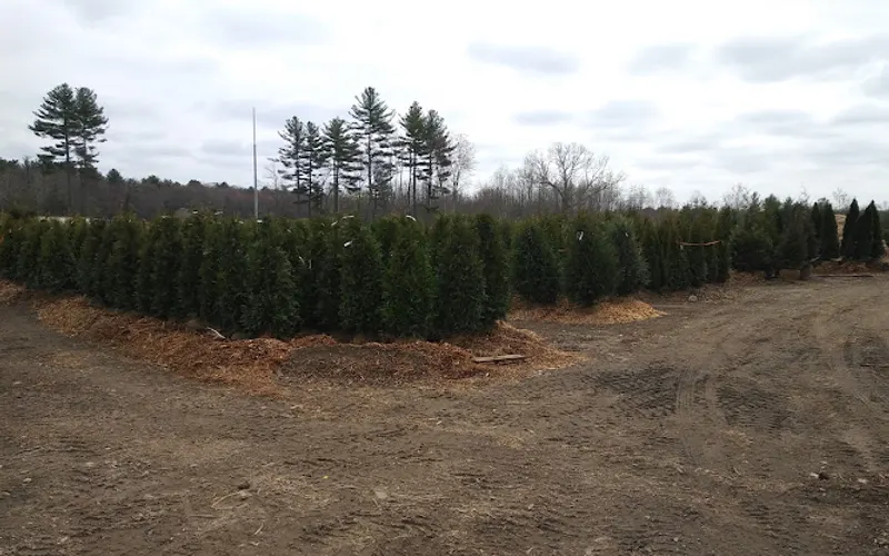 Weston "By the Yard" Bulk Yard — Mulch supplier