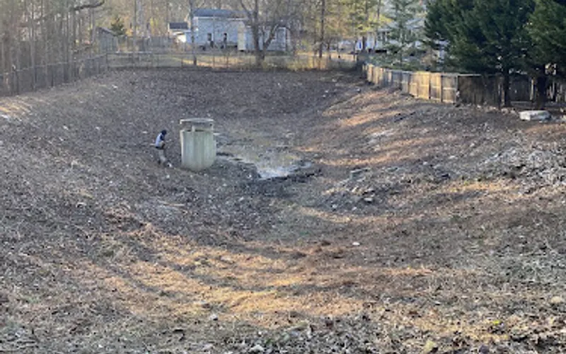 Stanley Tree And Landscaping Stump Grinding Services — Tree service