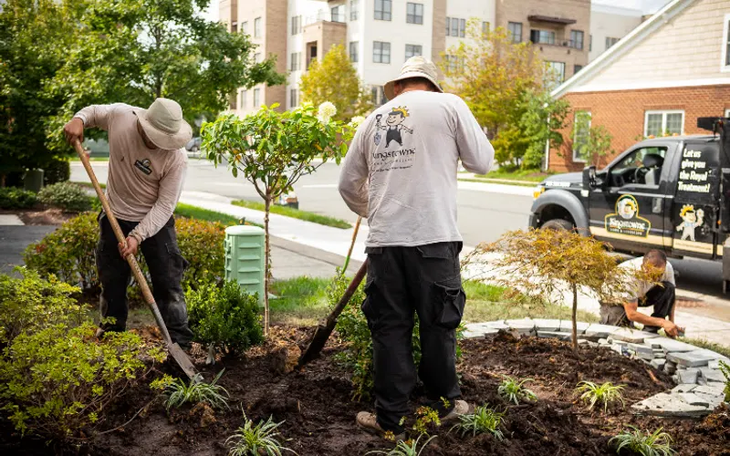 Kingstowne Lawn & Landscape — Landscape designer