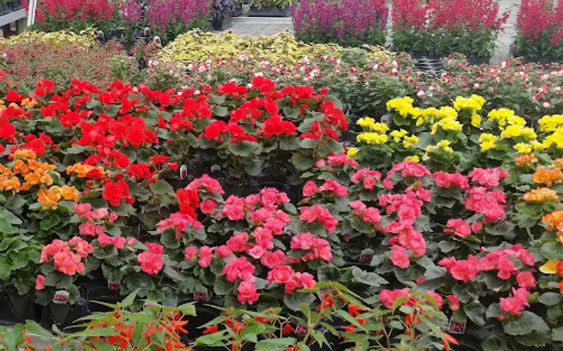 Pepper Creek — Garden center