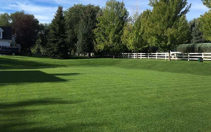 Green Valley Turf Co. — Sod supplier