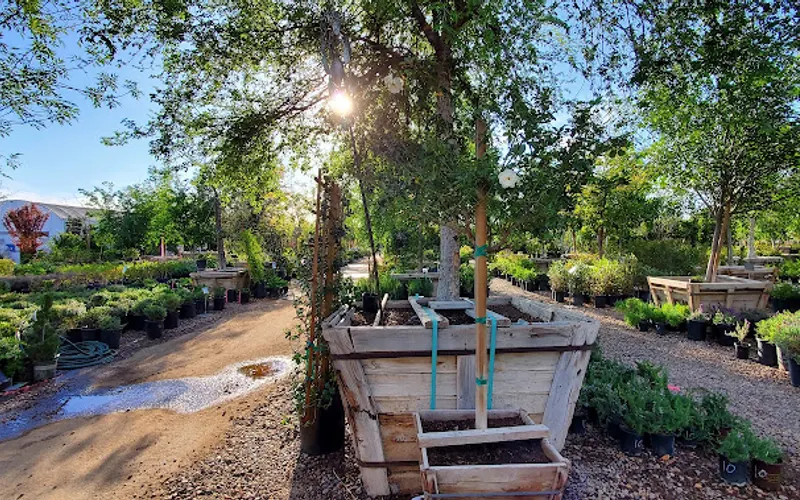 Whitfill Nursery — Garden center
