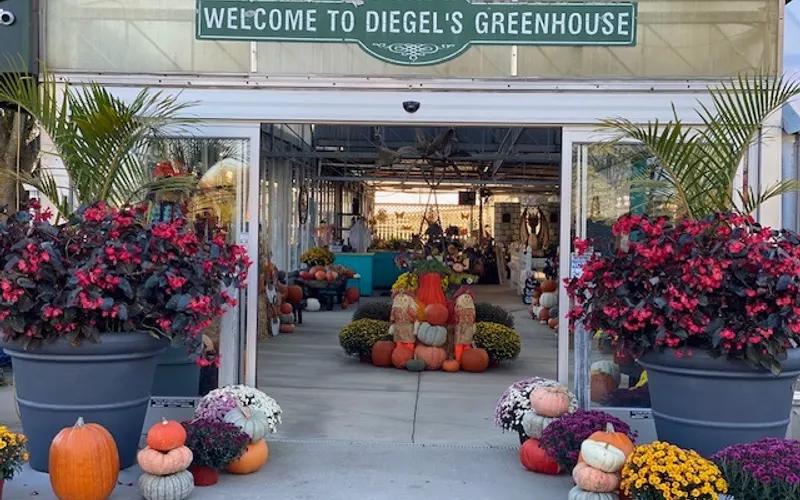 Diegel's Greenhouse — Greenhouse