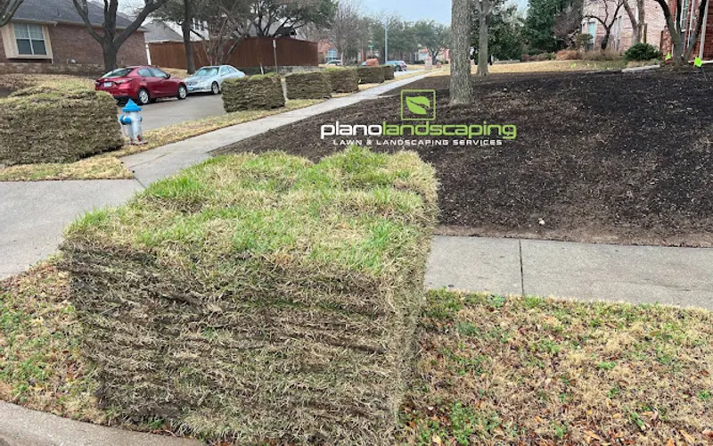 Plano Landscaping — Landscaper