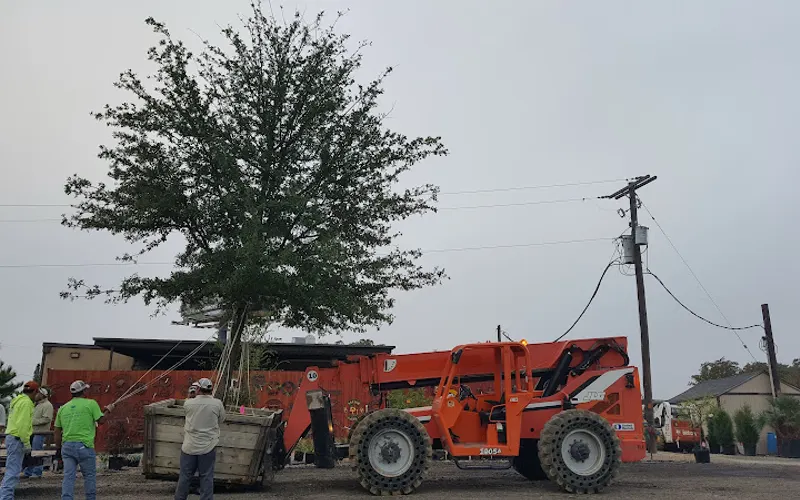 The Tree Place — Tree service