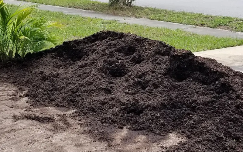 Organic Raised Garden Beds & Compost Supply — Topsoil supplier