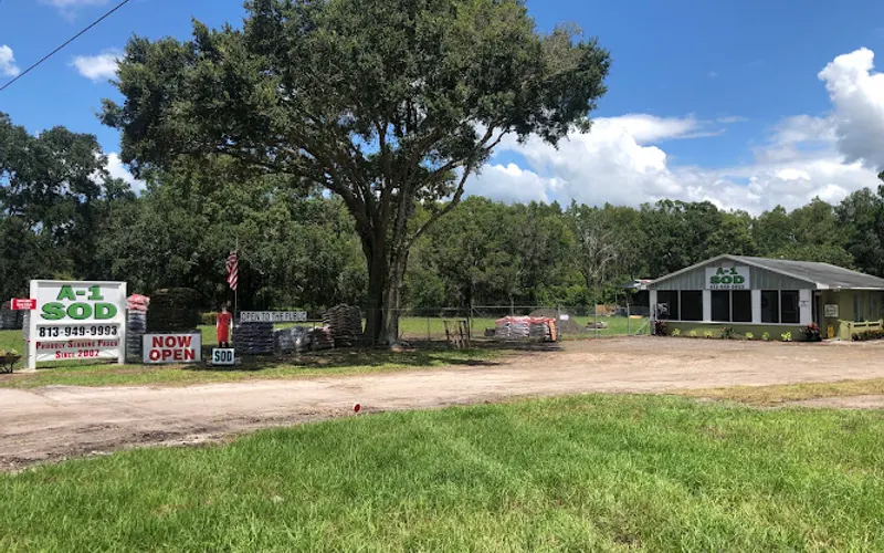 A-1 Sod — Sod supplier