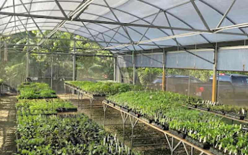 Ready-to-Grow Gardens — Garden center