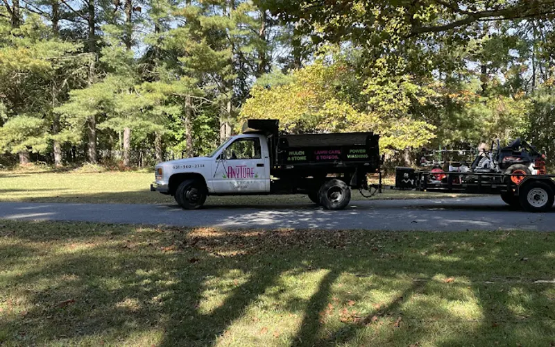 ANYTURF LANDSCAPE LLC — Lawn care service