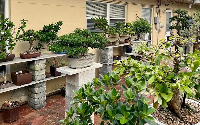 The Yard — Garden center
