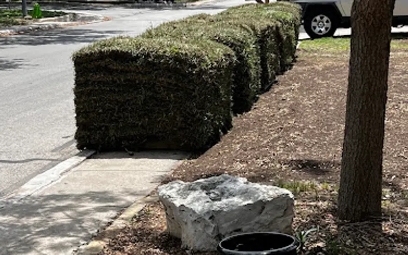 USA Sod Company of San Antonio — Lawn care service
