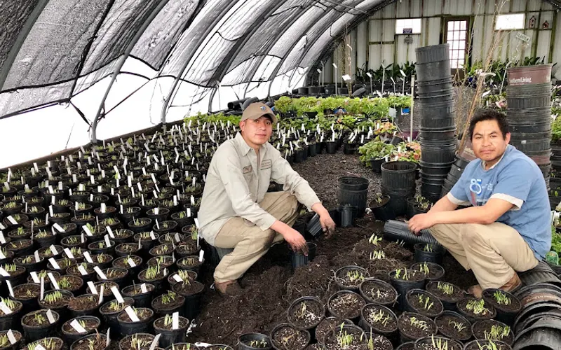 Urban Earth — Plant nursery