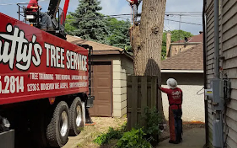 Smitty's Tree Service Inc. — Tree service