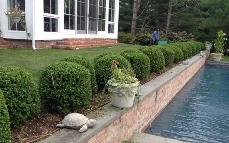 MICCIMANNI Landscaping Corp — Landscaper