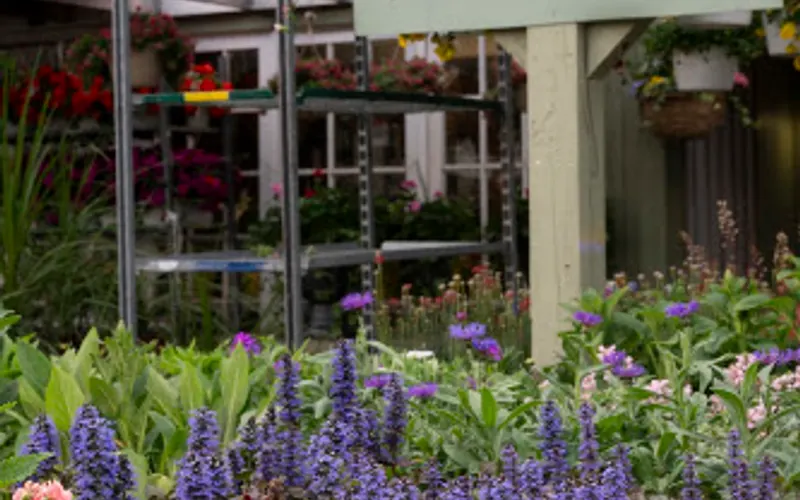 Dragonfly Farms — Garden center