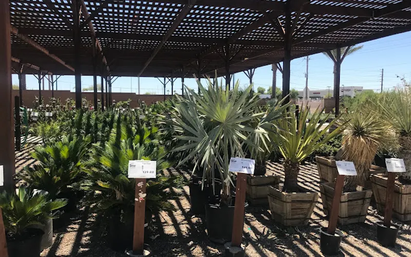 Star Nursery Garden and Rock Centers — Garden center