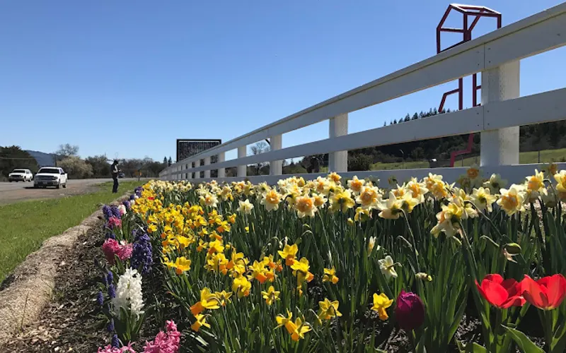 DutchGrown Flower Bulbs — Garden center
