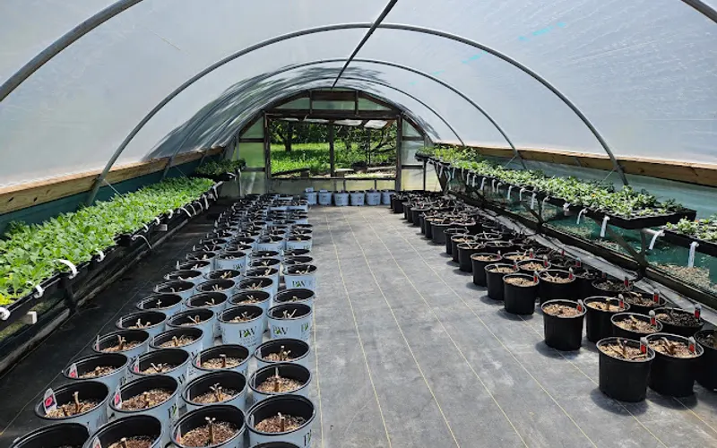 Bonnie's Greenhouse — Garden center
